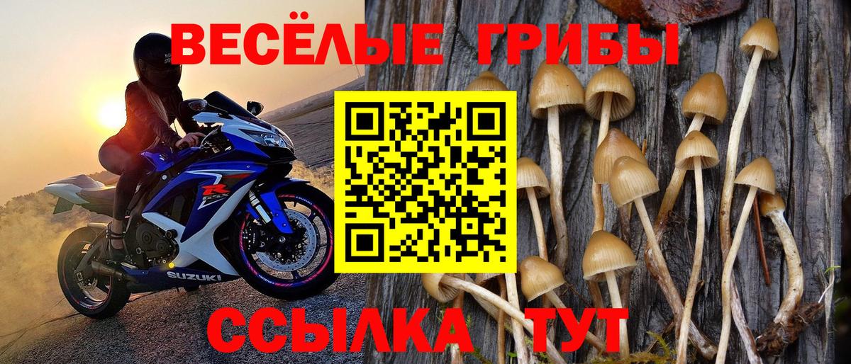 наркота  Галлюциногенные грибы прущие грибы  Вход с VPN  Алейск 