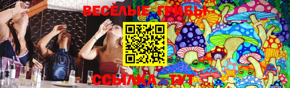 Галлюциногенные грибы GOLDEN TEACHER Алейск